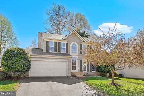 Jade, FREDERICKSBURG, VA 22406
