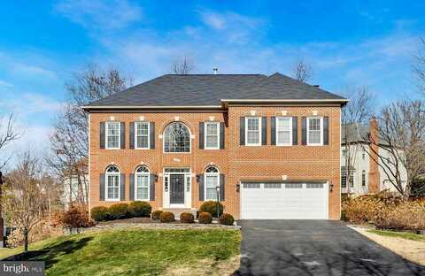 Scott, SPRINGFIELD, VA 22153