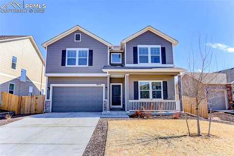 Yellowtail, COLORADO SPRINGS, CO 80908