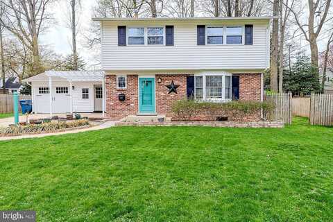 Clydesdale, SPRINGFIELD, VA 22151