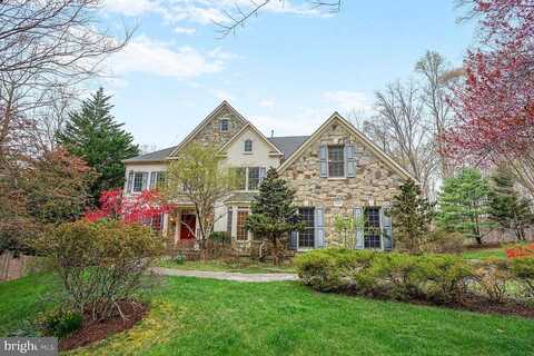Cardinal Rose, FAIRFAX STATION, VA 22039