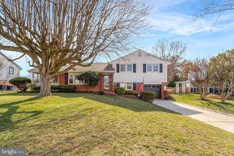 Lilac, ALEXANDRIA, VA 22308