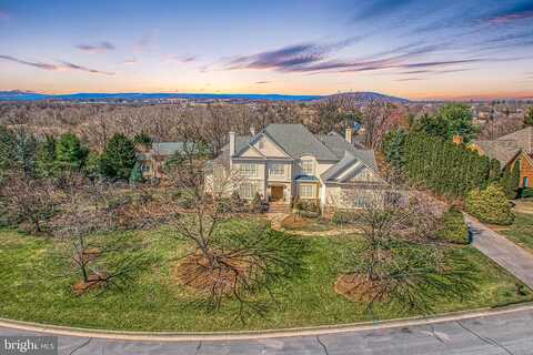 Johnston, WINCHESTER, VA 22601