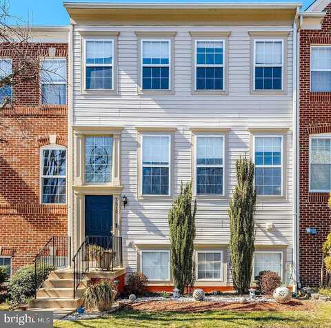 Seth Hampton, ALEXANDRIA, VA 22315