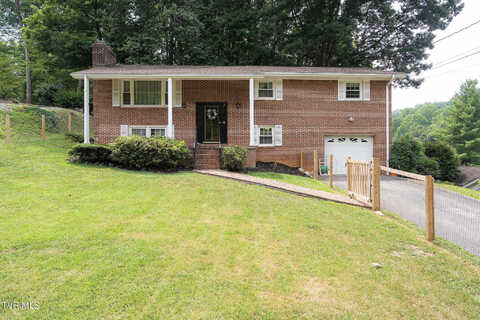 Pin Oak, BRISTOL, VA 24202