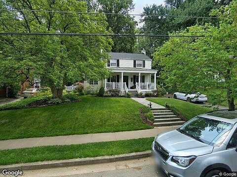Timber, FALLS CHURCH, VA 22046