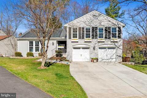 Carnation, SPRINGFIELD, VA 22152