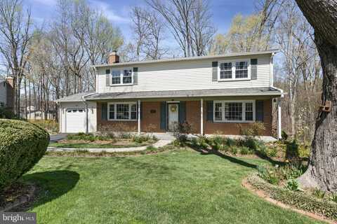 Bear, SPRINGFIELD, VA 22153