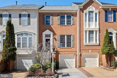 Debra Lu, SPRINGFIELD, VA 22150