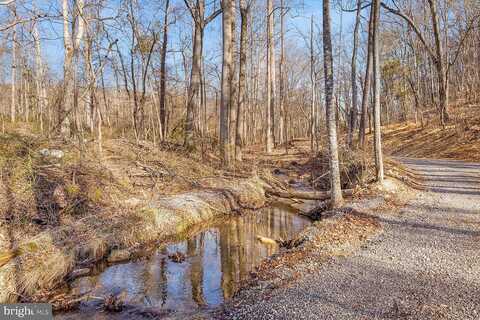 Bonnet Hill, MAURERTOWN, VA 22644
