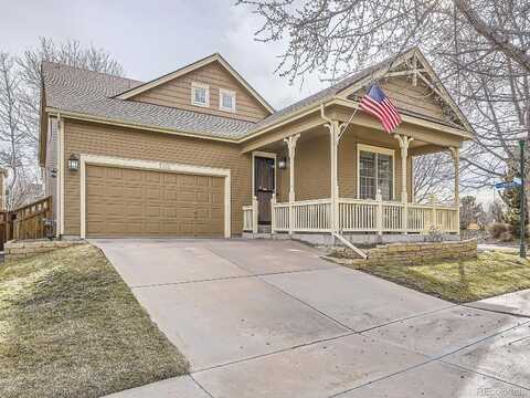 Gull, BRIGHTON, CO 80601
