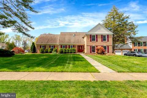 Tarheel, ANNANDALE, VA 22003