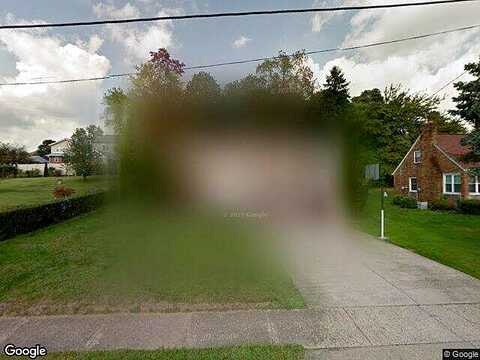 Willow, SPRINGDALE, PA 15144
