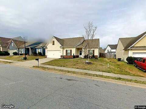 Swamp Cypress, GAINESVILLE, GA 30504