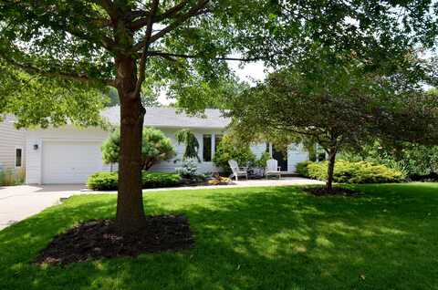 Tyler, HOPKINS, MN 55343