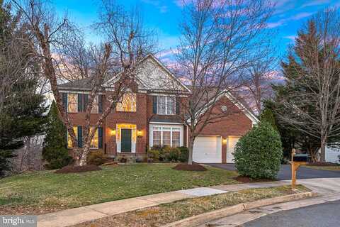 Cook, ALEXANDRIA, VA 22311