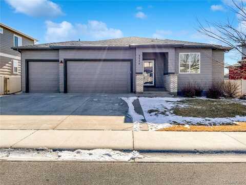 River Birch, WELLINGTON, CO 80549
