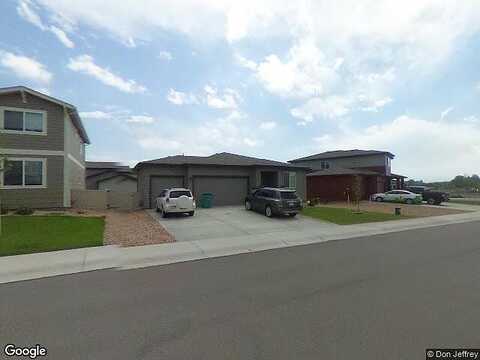 River Birch, WELLINGTON, CO 80549