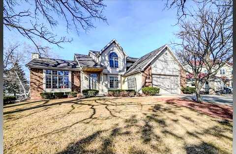 Fox, COTTAGE GROVE, WI 53527