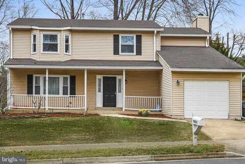 Steven Martin, FAIRFAX, VA 22031