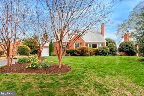 Linden, FALLS CHURCH, VA 22042