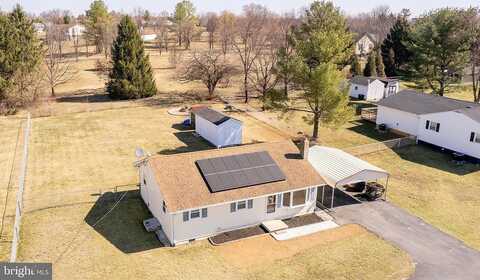 Payne, WINCHESTER, VA 22603