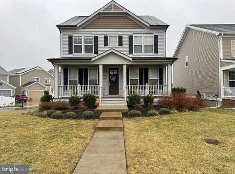 Boxelder, STAFFORD, VA 22554