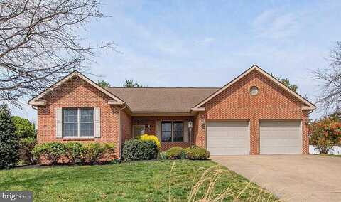 Brandylion, STEPHENS CITY, VA 22655