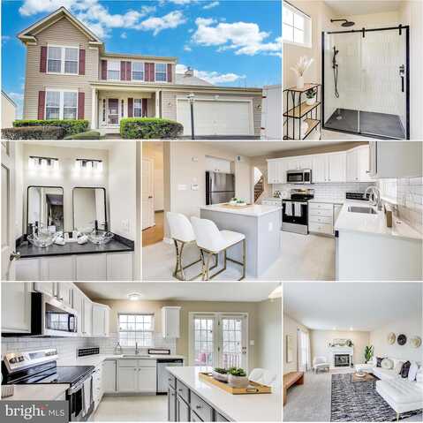 Pyxie, WOODBRIDGE, VA 22192