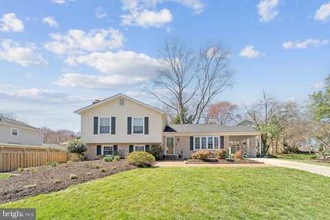 Leo, ALEXANDRIA, VA 22308
