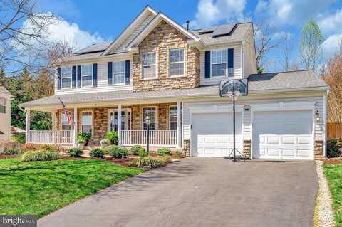 Palace, STAFFORD, VA 22554