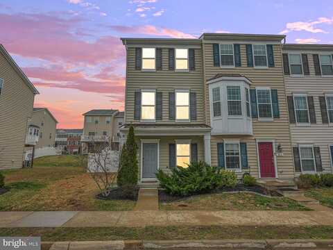 Tree Line, FREDERICKSBURG, VA 22405