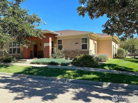 Inca Dove, LOVELAND, CO 80537