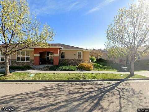 Inca Dove, LOVELAND, CO 80537