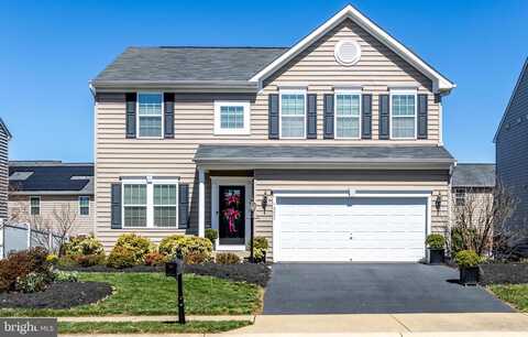 Salt Cedar, CULPEPER, VA 22701