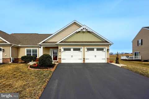 Canvasback, ELIZABETHTOWN, PA 17022