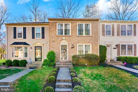 Artery, FAIRFAX, VA 22030