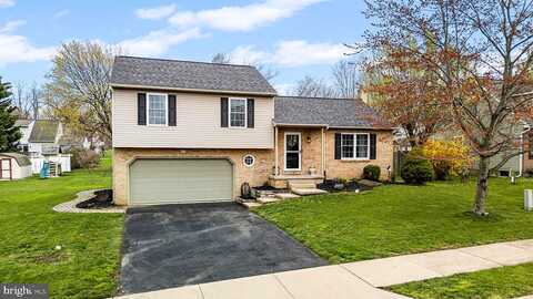 Larkspur, QUARRYVILLE, PA 17566