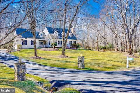 Rich Meadow, GREAT FALLS, VA 22066