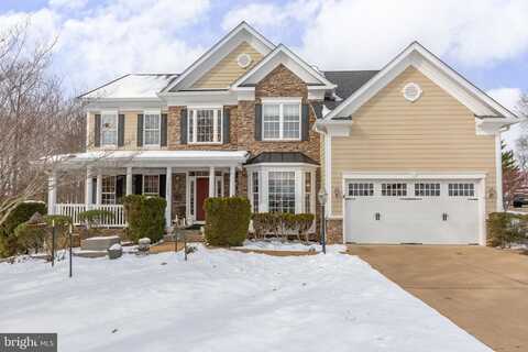 Downman, FREDERICKSBURG, VA 22401