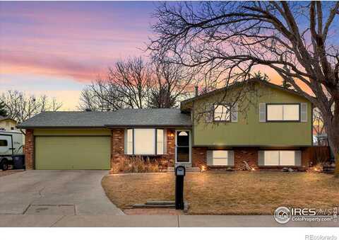Banyan, LOVELAND, CO 80538