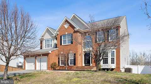 Reynard Fox, BEALETON, VA 22712