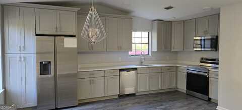 Palm, KINGSLAND, GA 31548