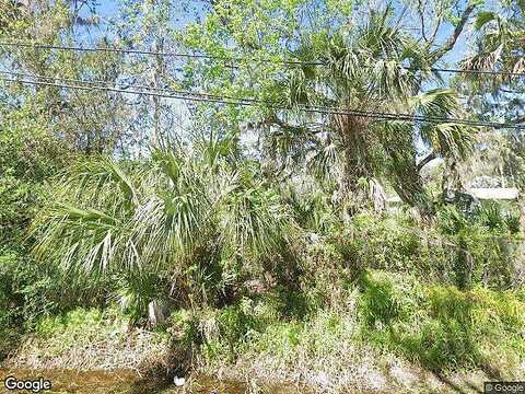 Old Big Tree, DAYTONA BEACH, FL 32119
