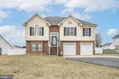 Queens, STEPHENS CITY, VA 22655