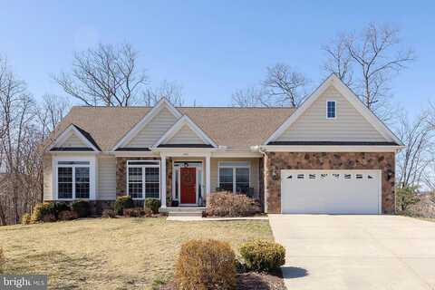 Jeni, WINCHESTER, VA 22602