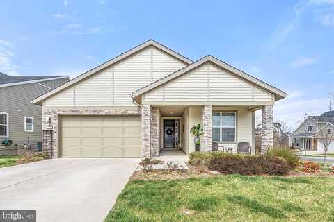 Gadwell, LAKE FREDERICK, VA 22630