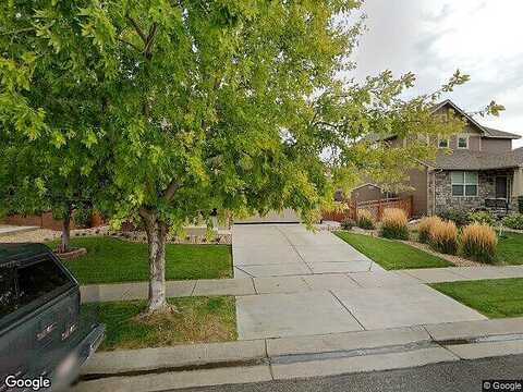 Bristlecone, BRIGHTON, CO 80601