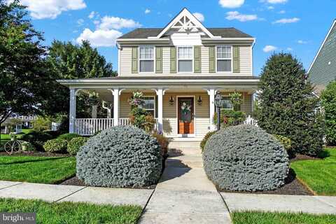 Basil, MARIETTA, PA 17547