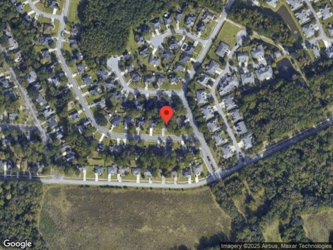 Junco, SAVANNAH, GA 31419